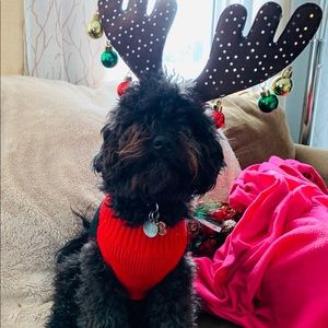 Meet your Posher, Antonio